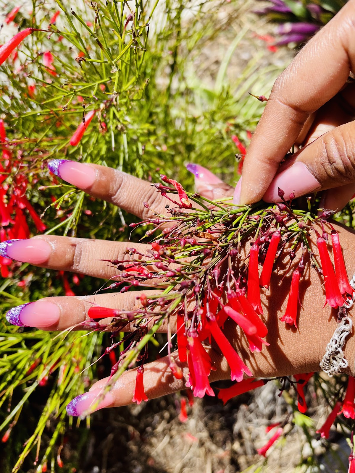 Vaness Sublimi'Nails Institut - Centre de formation